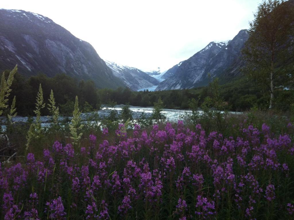 Nigardsbreen Lodge Luster Экстерьер фото