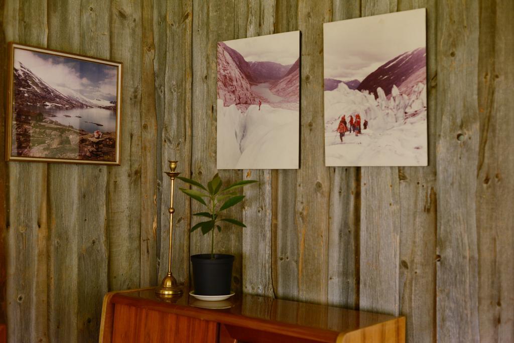 Nigardsbreen Lodge Luster Экстерьер фото